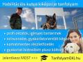 Kutyakik√©pz≈ë OKJ-s tanfolyam Budapesten , tanfolyamokj@gmail.com , 