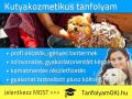 Kutyakozmetikus OKJ-s tanfolyam Budapesten , tanfolyamokj@gmail.com , Kutyakozmetikus OKJ-s tanfolyam Budapesten , tanfolyamokj@gmail.com ,