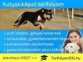 Kutyakik√©pz≈ë tanfolyam Budapesten , tanfolyamokj@gmail.com , 